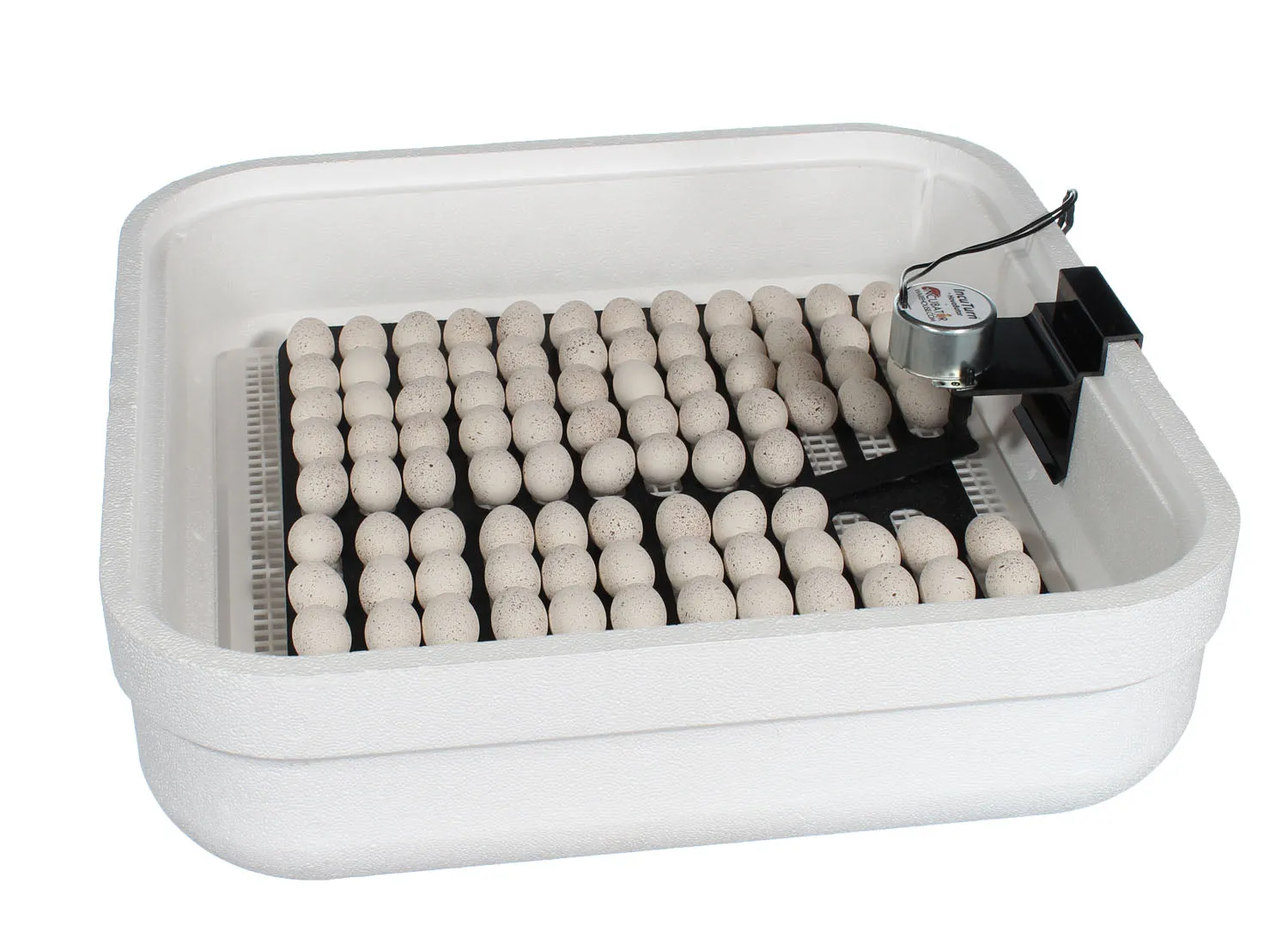 Hova Bator Genesis 1588 Digital Egg Incubator & Brooder Ultimate Combo Kit