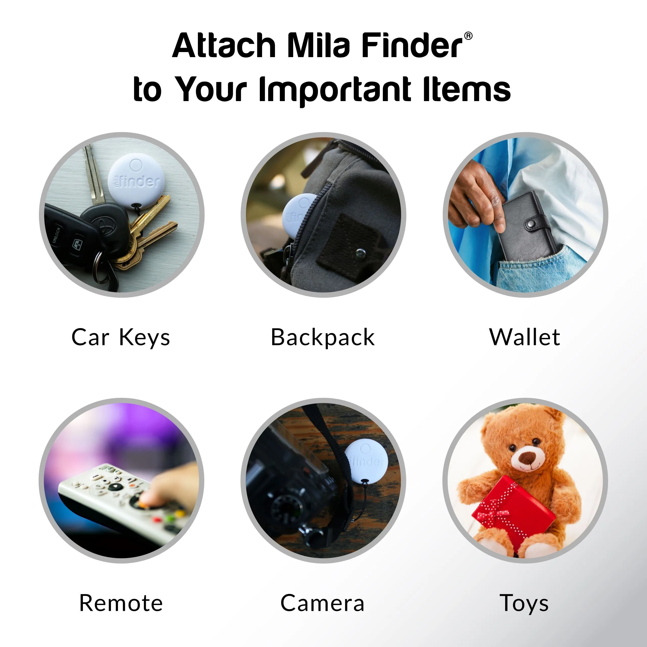 Mila Finder - 24 pack