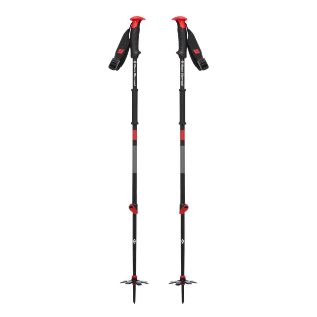 Traverse Ski Poles