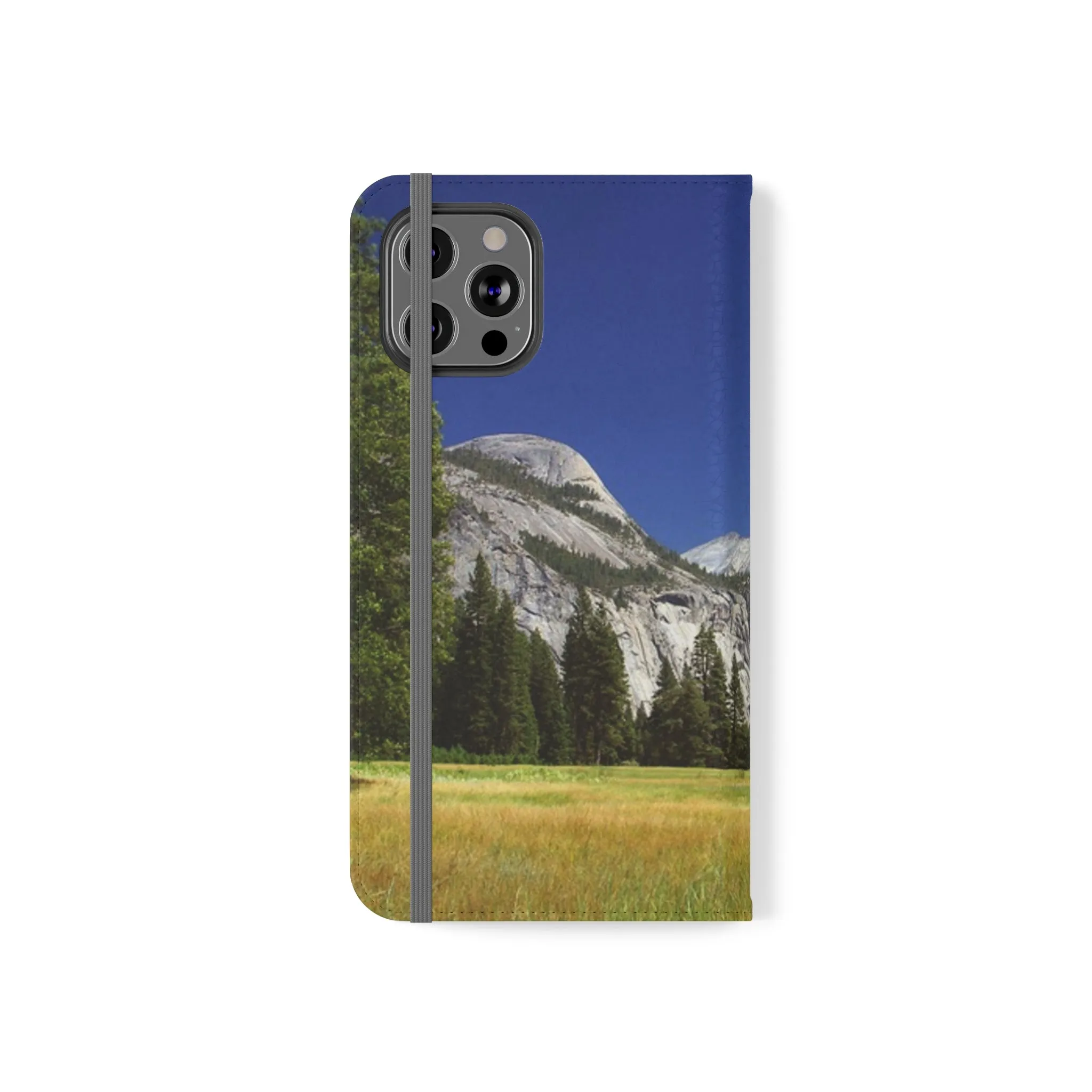 Yosemite's Spring Symphony - Flip Cases