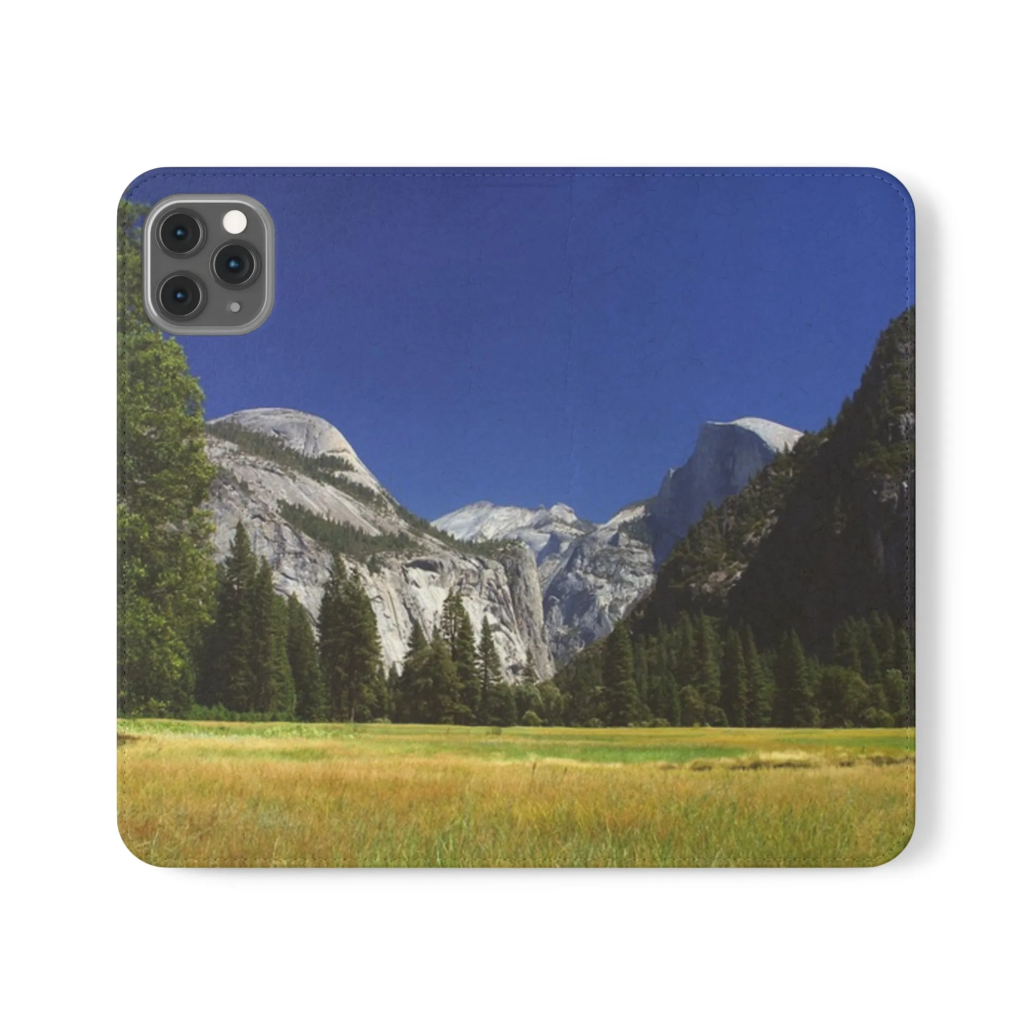 Yosemite's Spring Symphony - Flip Cases