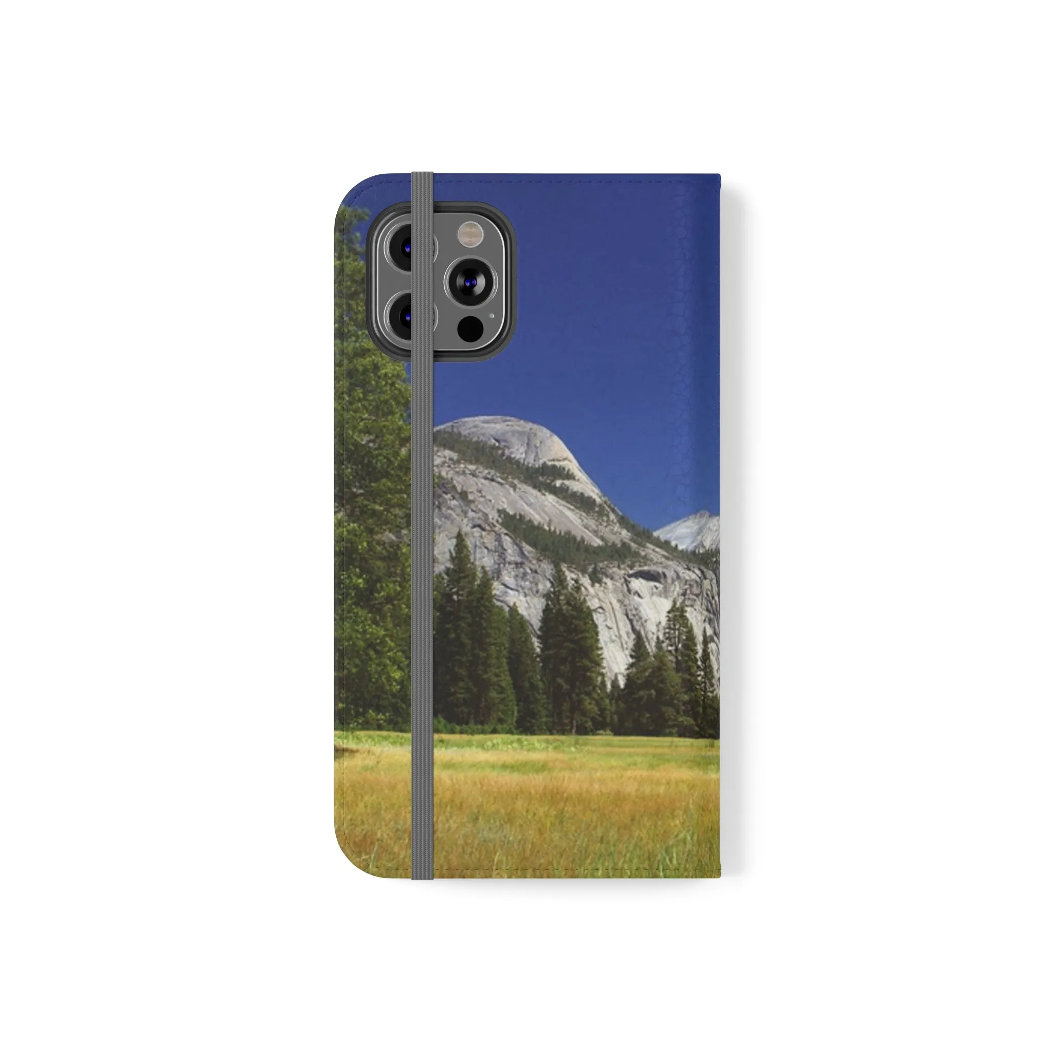 Yosemite's Spring Symphony - Flip Cases