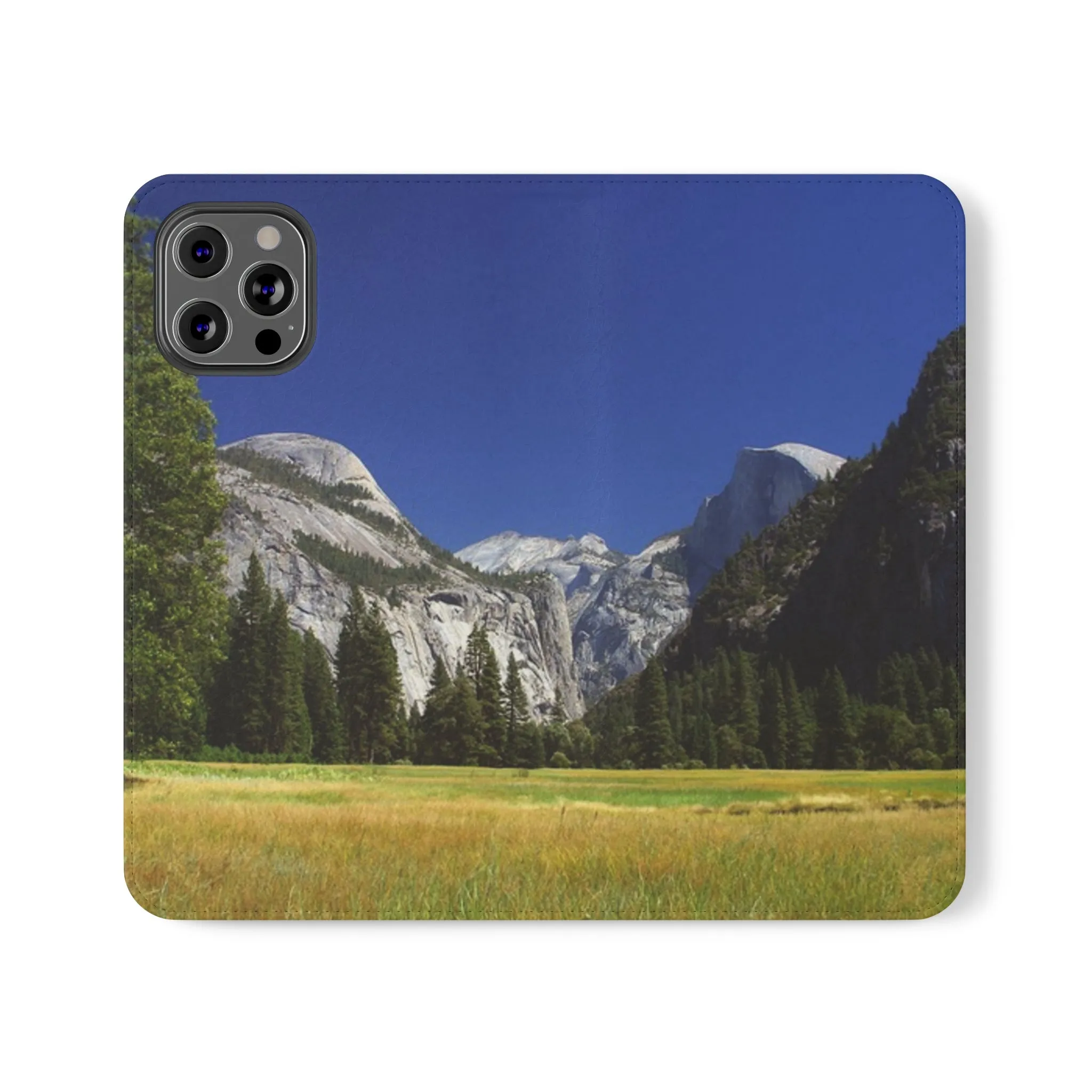 Yosemite's Spring Symphony - Flip Cases