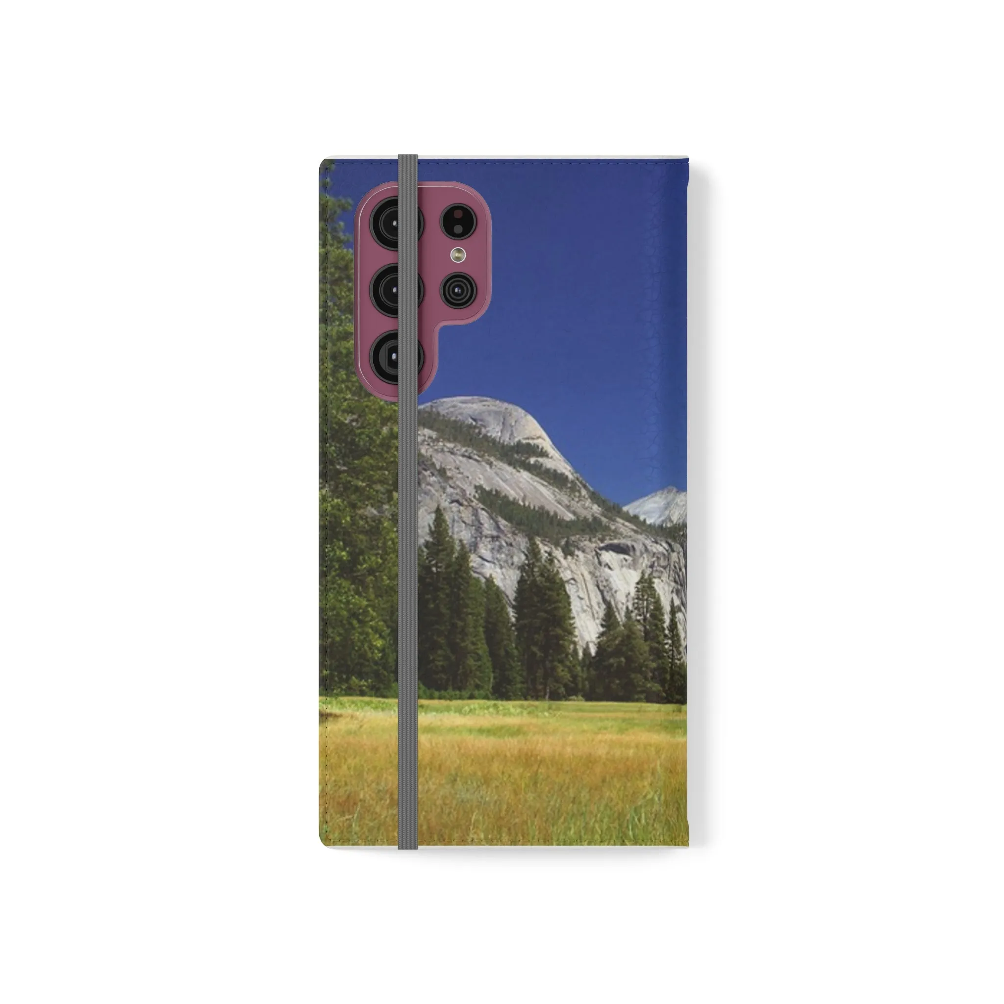 Yosemite's Spring Symphony - Flip Cases