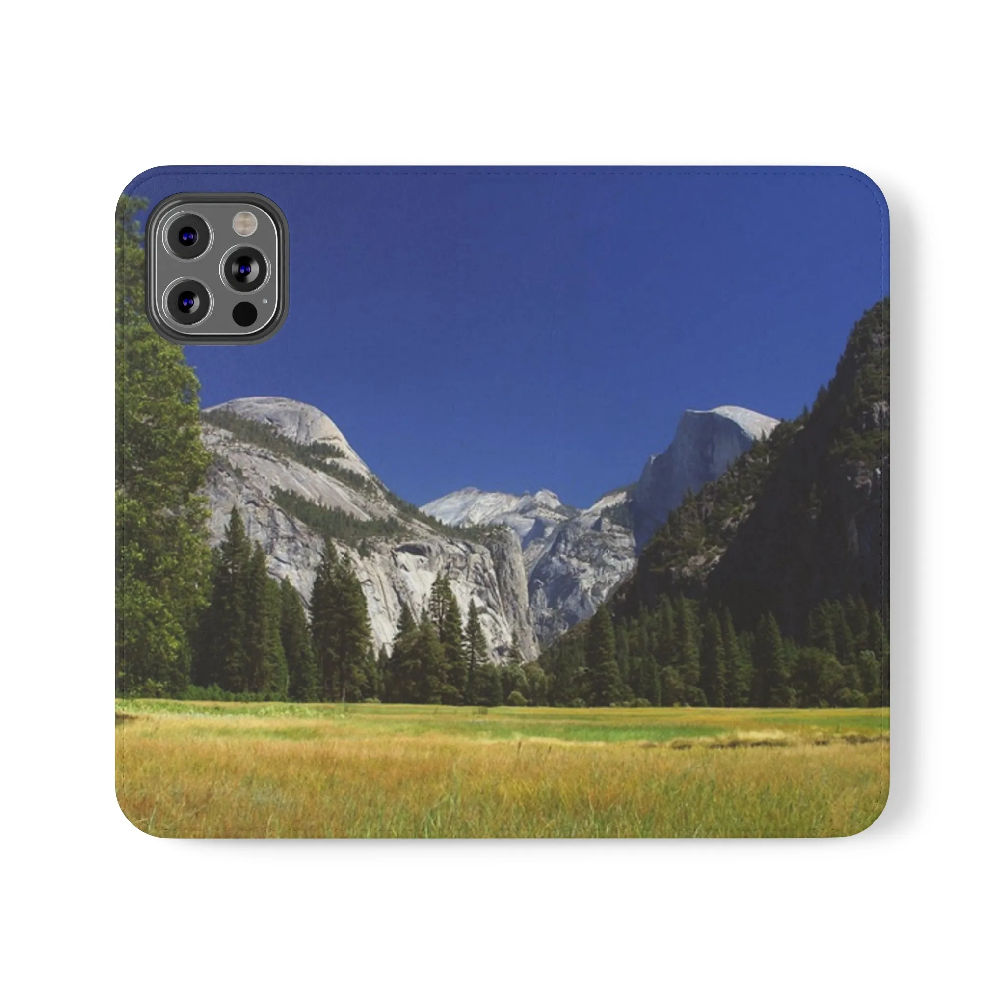 Yosemite's Spring Symphony - Flip Cases